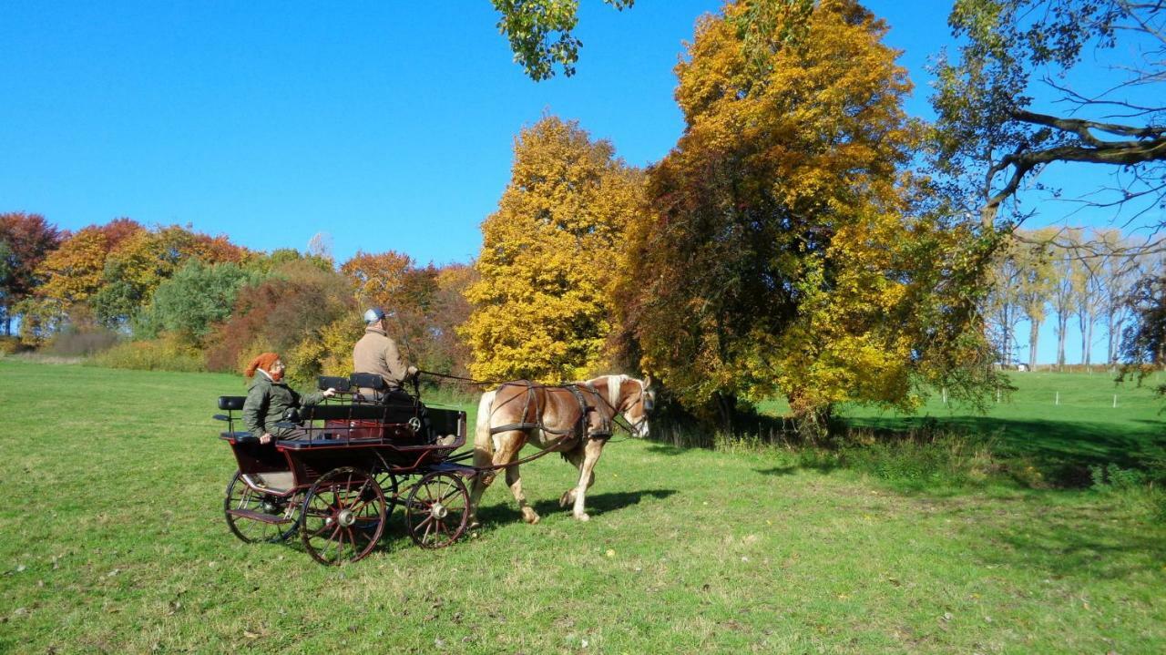 Aux 4 Saules De 4 Wilgen Bed & Breakfast Modave Eksteriør bilde