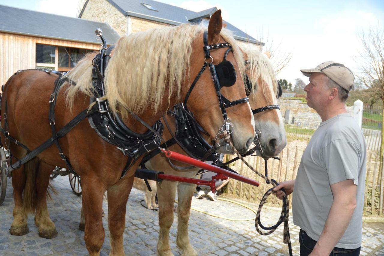 Aux 4 Saules De 4 Wilgen Bed & Breakfast Modave Eksteriør bilde