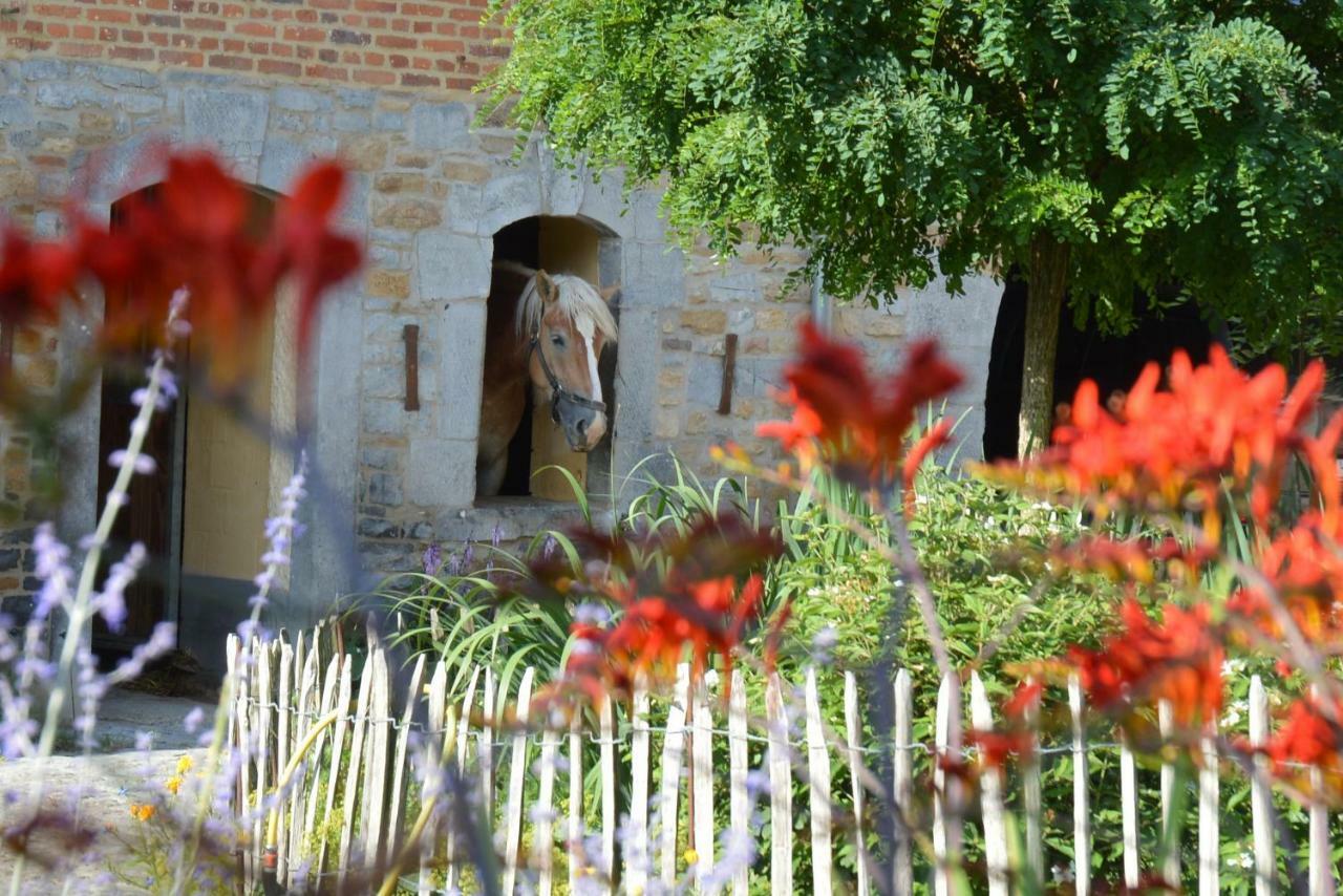 Aux 4 Saules De 4 Wilgen Bed & Breakfast Modave Eksteriør bilde